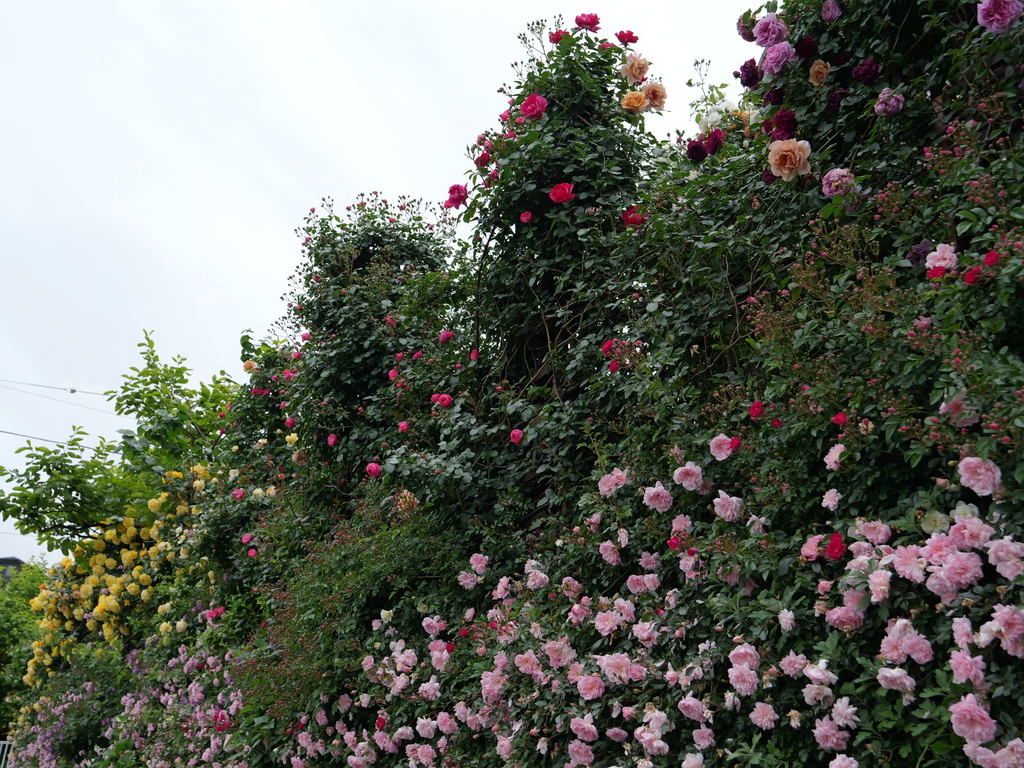2025-05-12 11_34№(0301).JPG