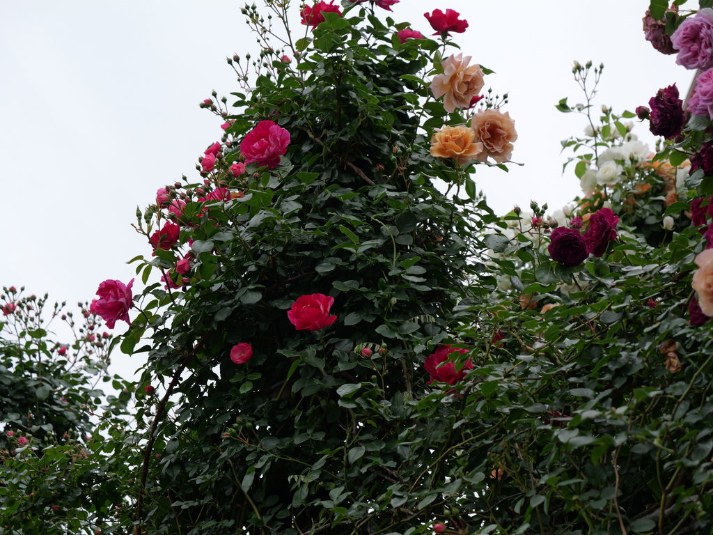 2025-05-12 11_34№(0302).JPG