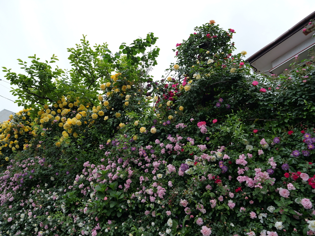 2025-05-12 11_34№(0305).JPG