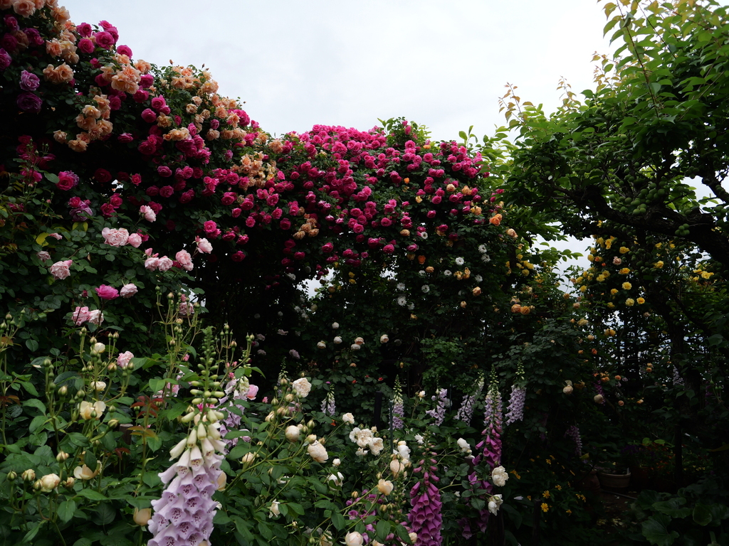 2025-05-12 11_39№(0462).JPG