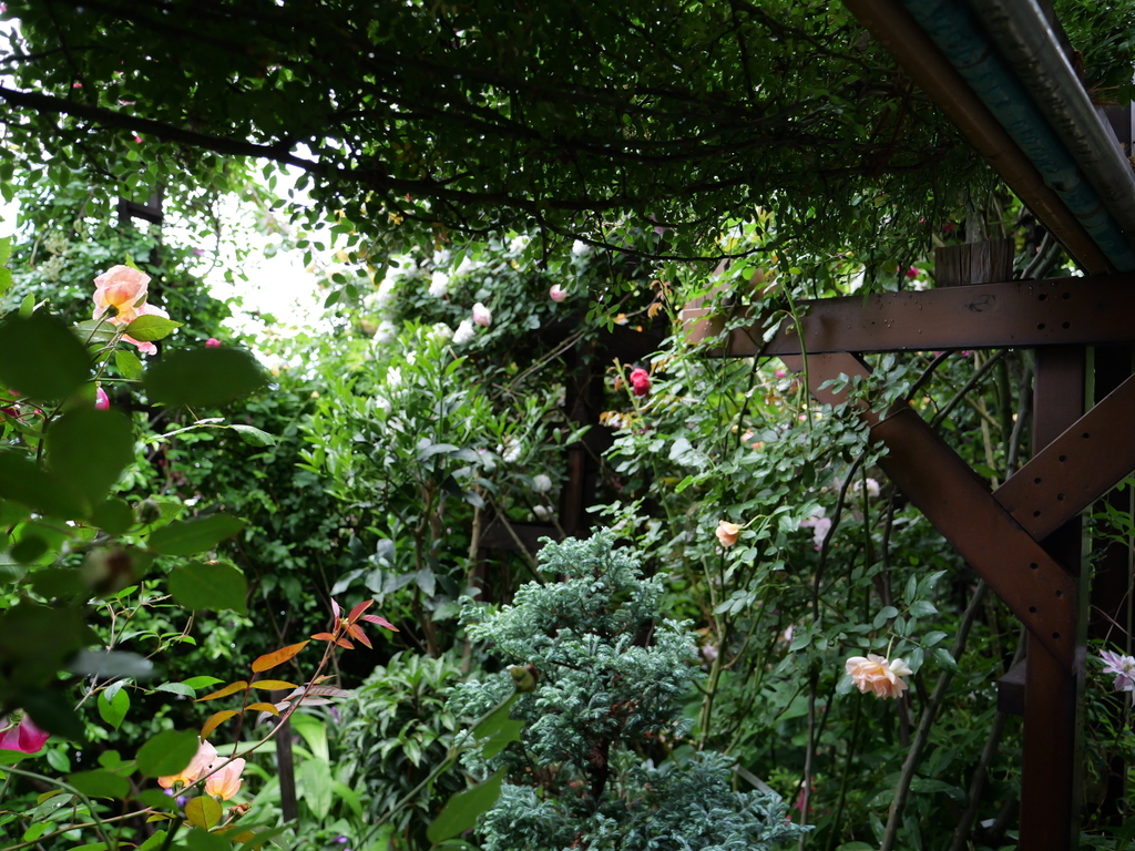 2025-05-12 11_43№(0621).JPG