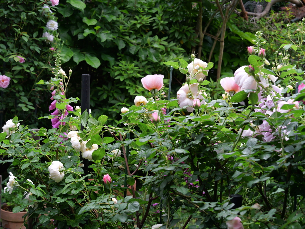 2025-05-12 11_43№(0623).JPG