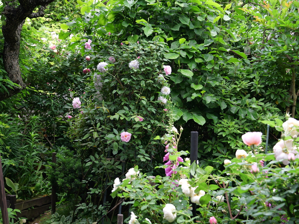 2025-05-12 11_43№(0625).JPG
