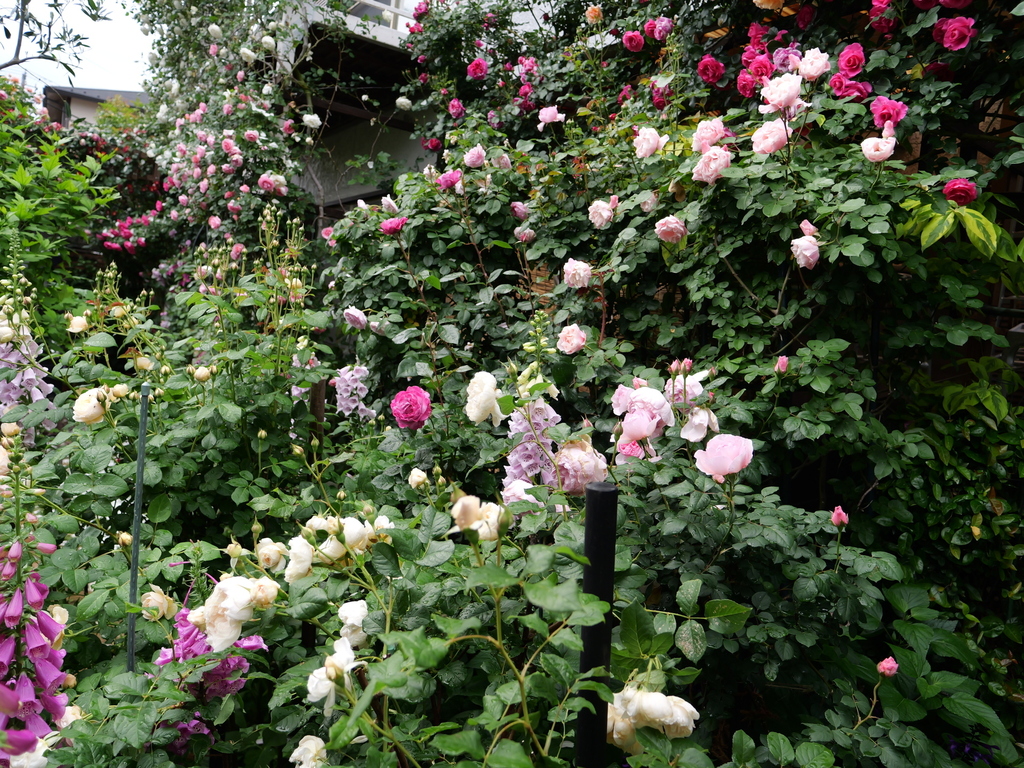2025-05-12 11_44№(0629).JPG