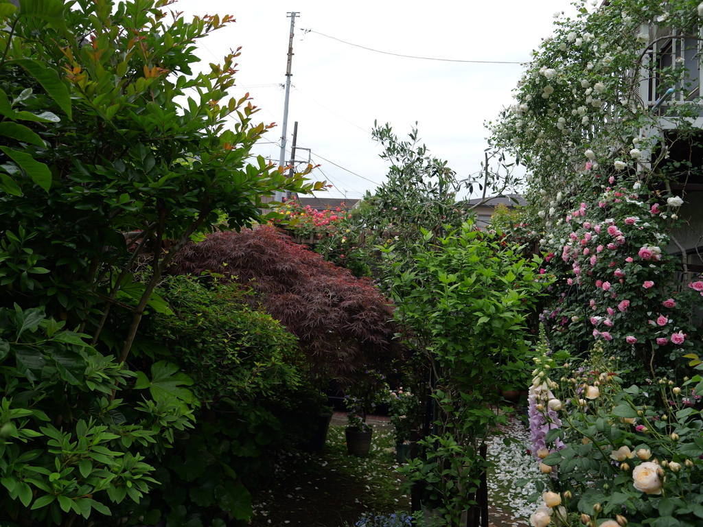 2025-05-12 11_44№(0634).JPG