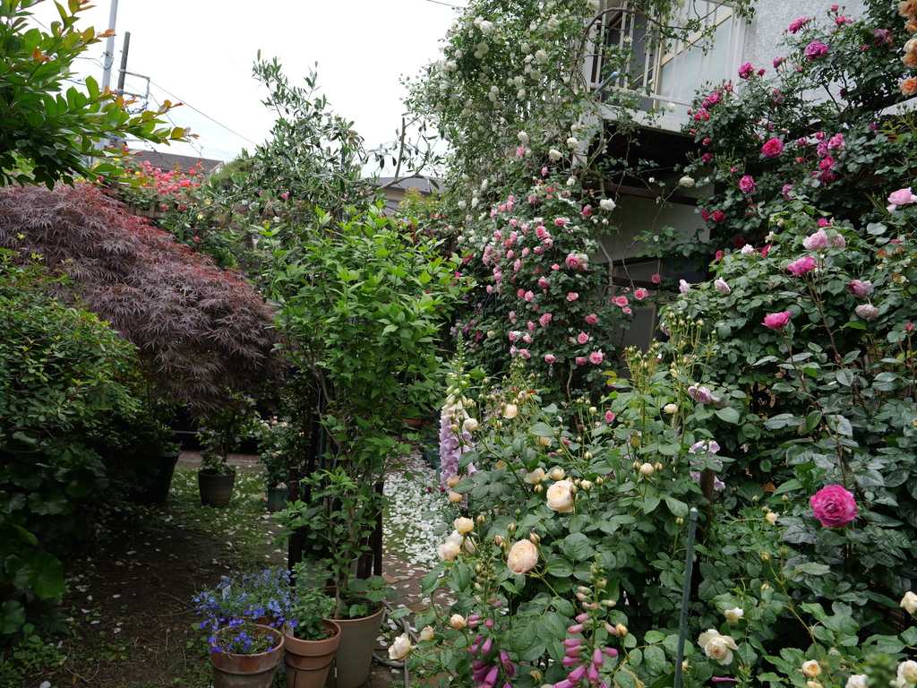 2025-05-12 11_44№(0638).JPG