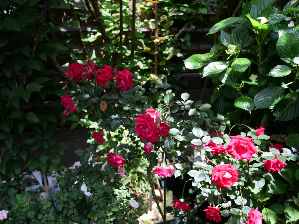 2025-05-13 10_30№(0283).JPG