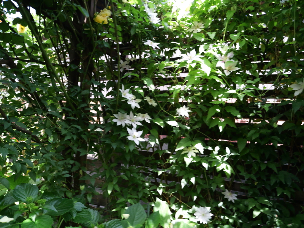 2025-05-13 10_30№(0289).JPG