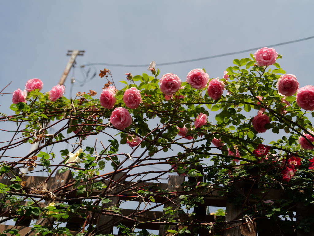 2025-05-13 10_30№(0304).JPG