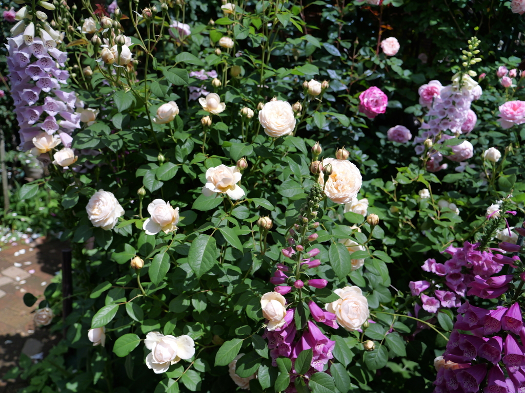 2025-05-13 10_32№(0376).JPG