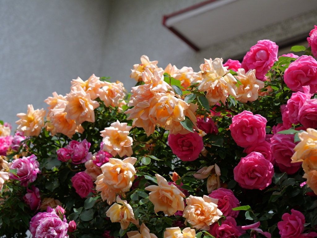 2025-05-13 10_33№(0391).JPG