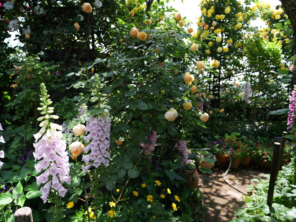 2025-05-13 10_33№(0398).JPG