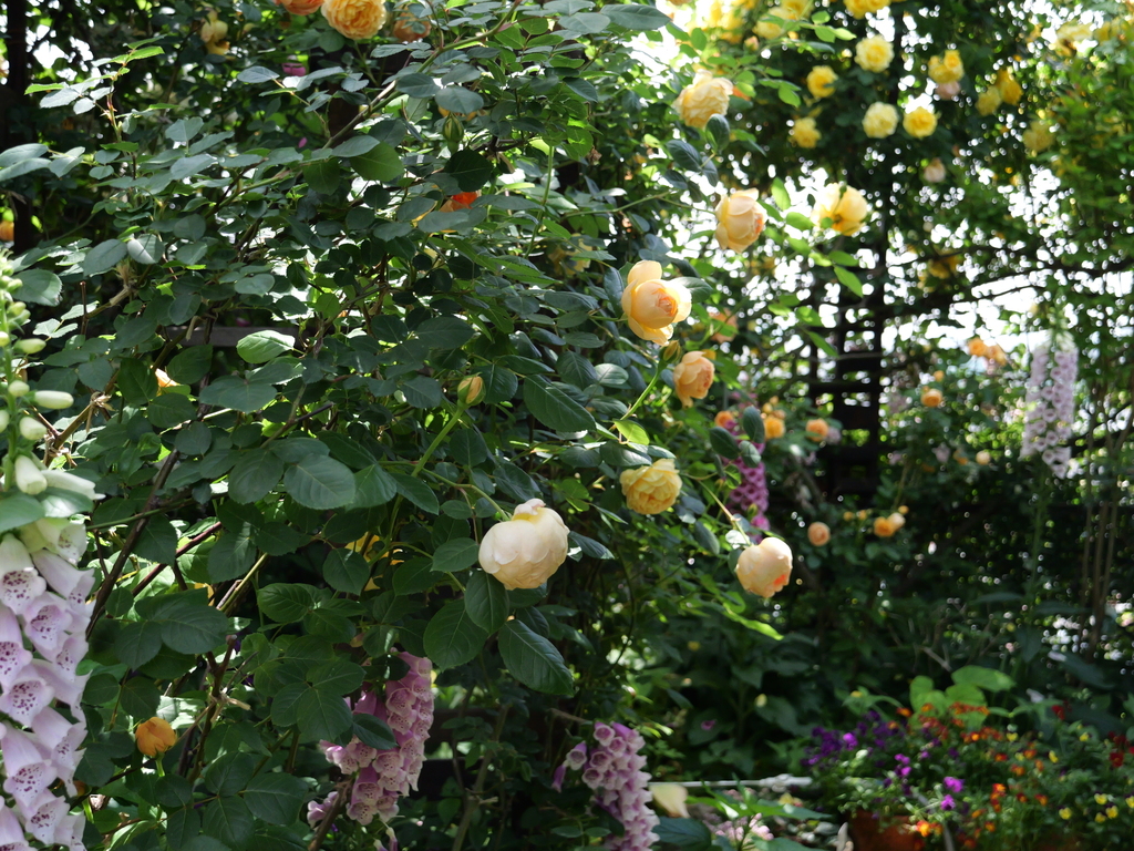 2025-05-13 10_33№(0399).JPG
