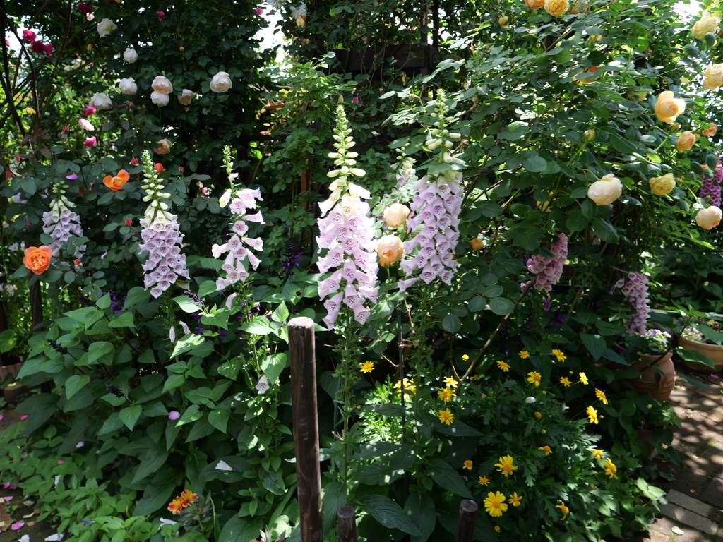 2025-05-13 10_33№(0403).JPG