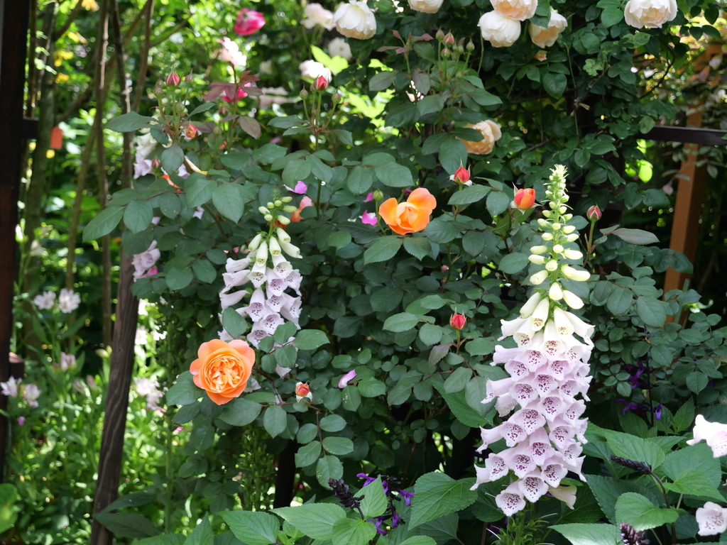 2025-05-13 10_33№(0405).JPG