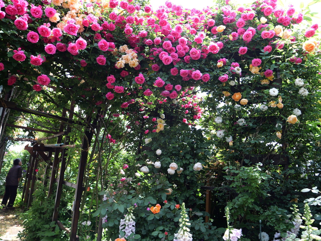 2025-05-13 10_33№(0407).JPG