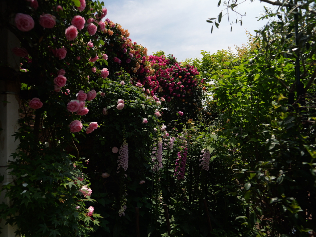 2025-05-13 10_33№(0409).JPG
