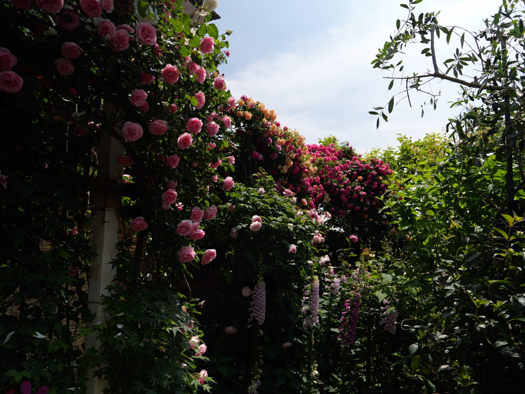 2025-05-13 10_33№(0410).JPG