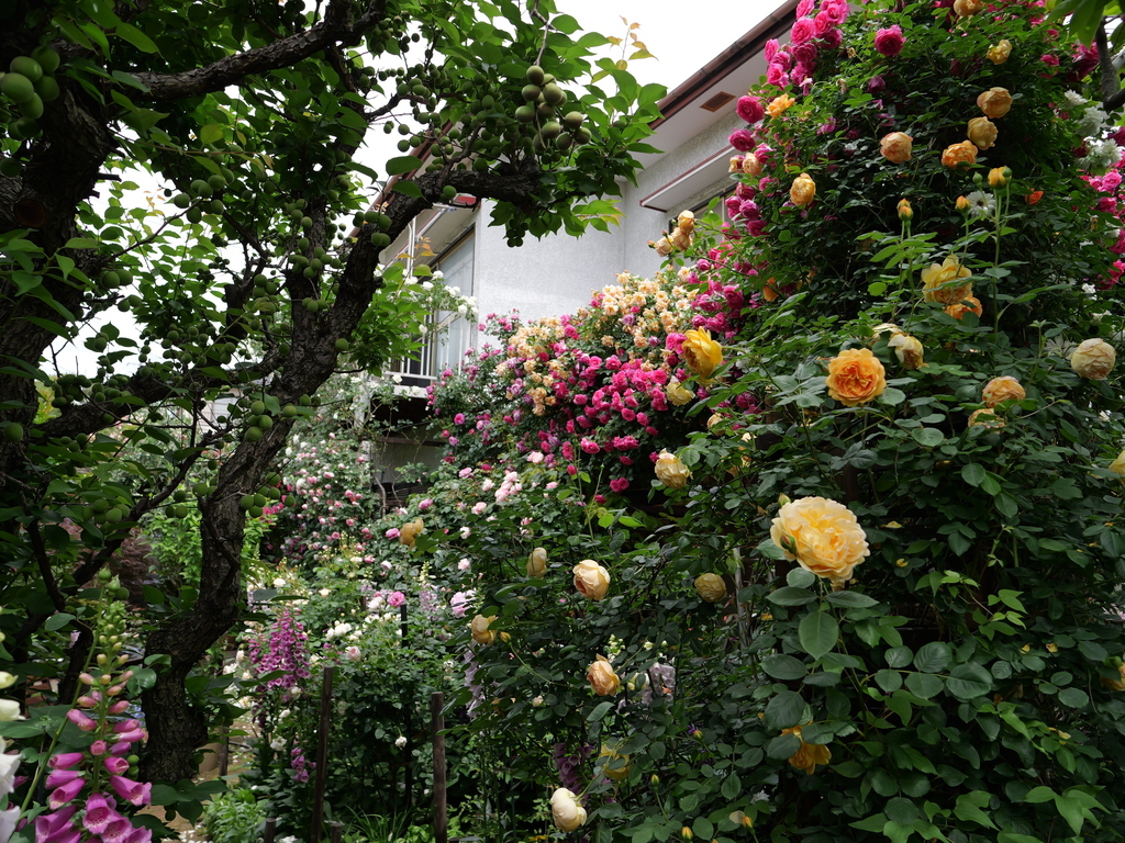 2025-05-14 10_48№(0638).JPG