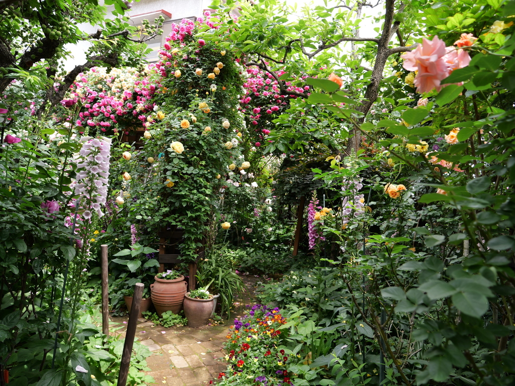 2025-05-14 10_48№(0645).JPG