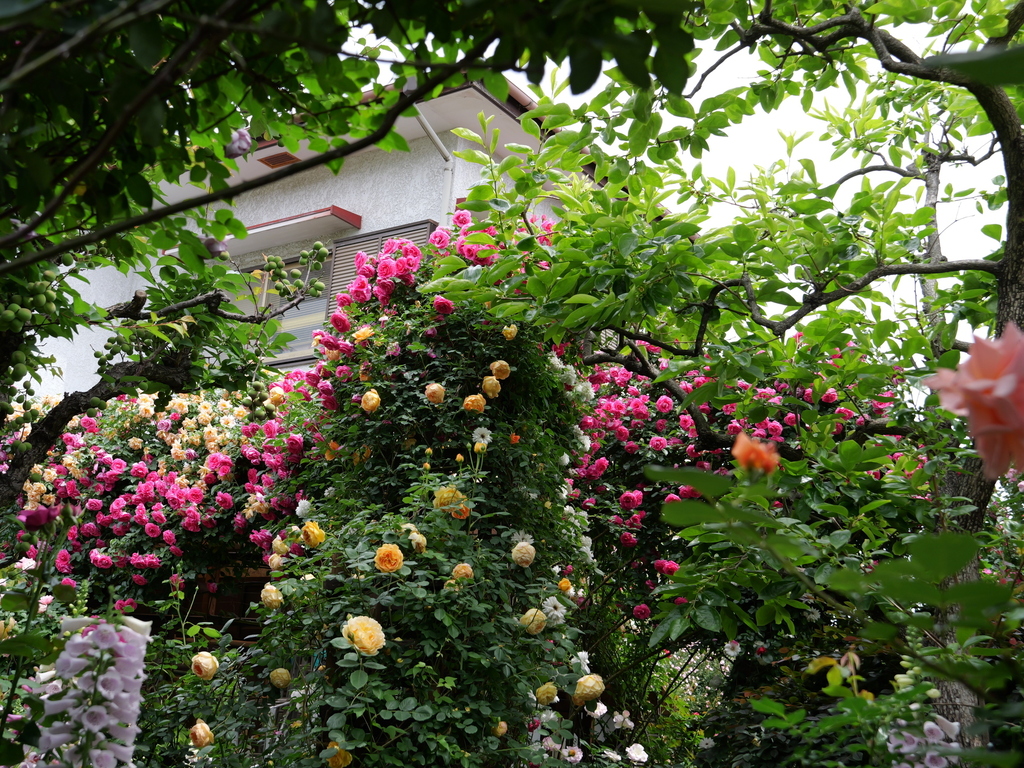 2025-05-14 10_48№(0649).JPG