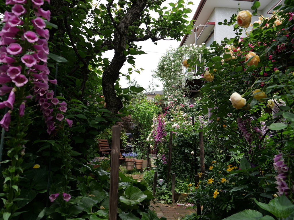 2025-05-14 10_49№(0658).JPG