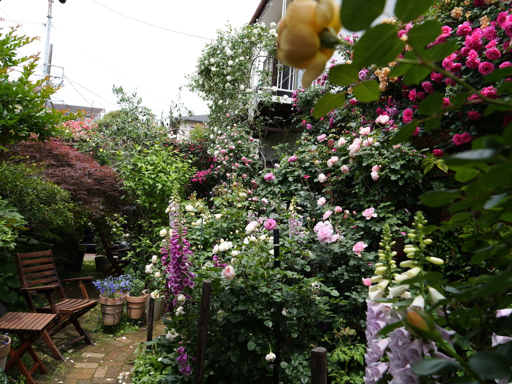 2025-05-14 10_49№(0660).JPG