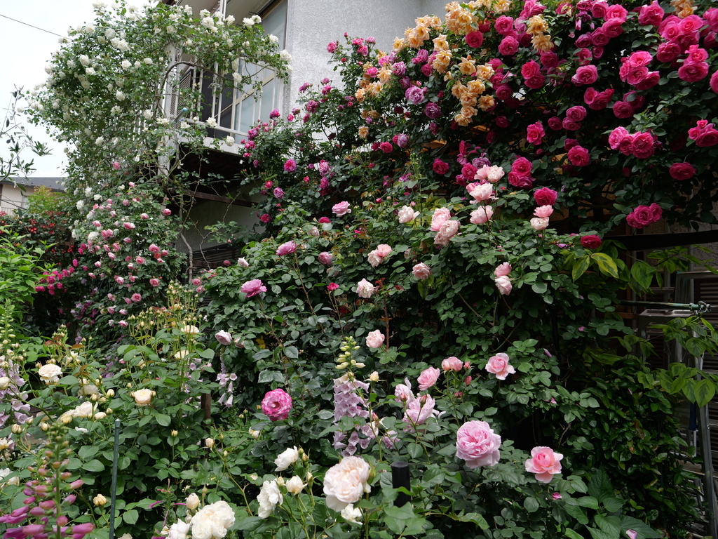 2025-05-14 10_49№(0663).JPG