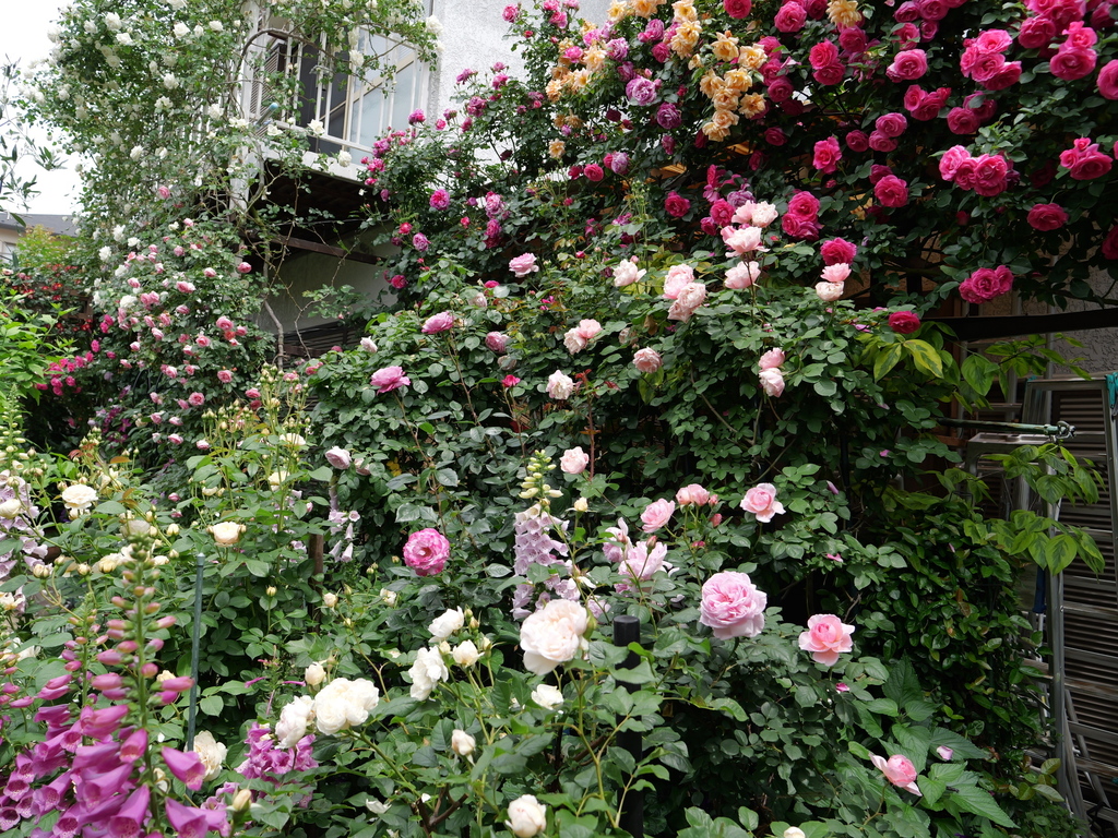 2025-05-14 10_49№(0664).JPG