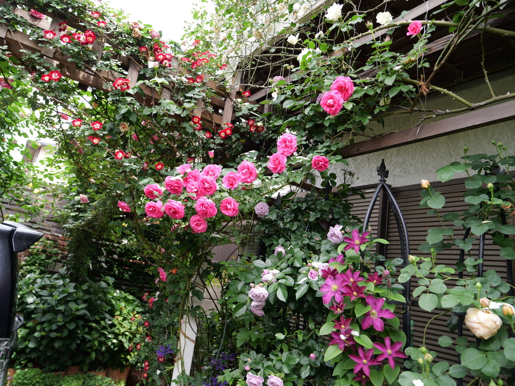 2025-05-14 10_49№(0672).JPG