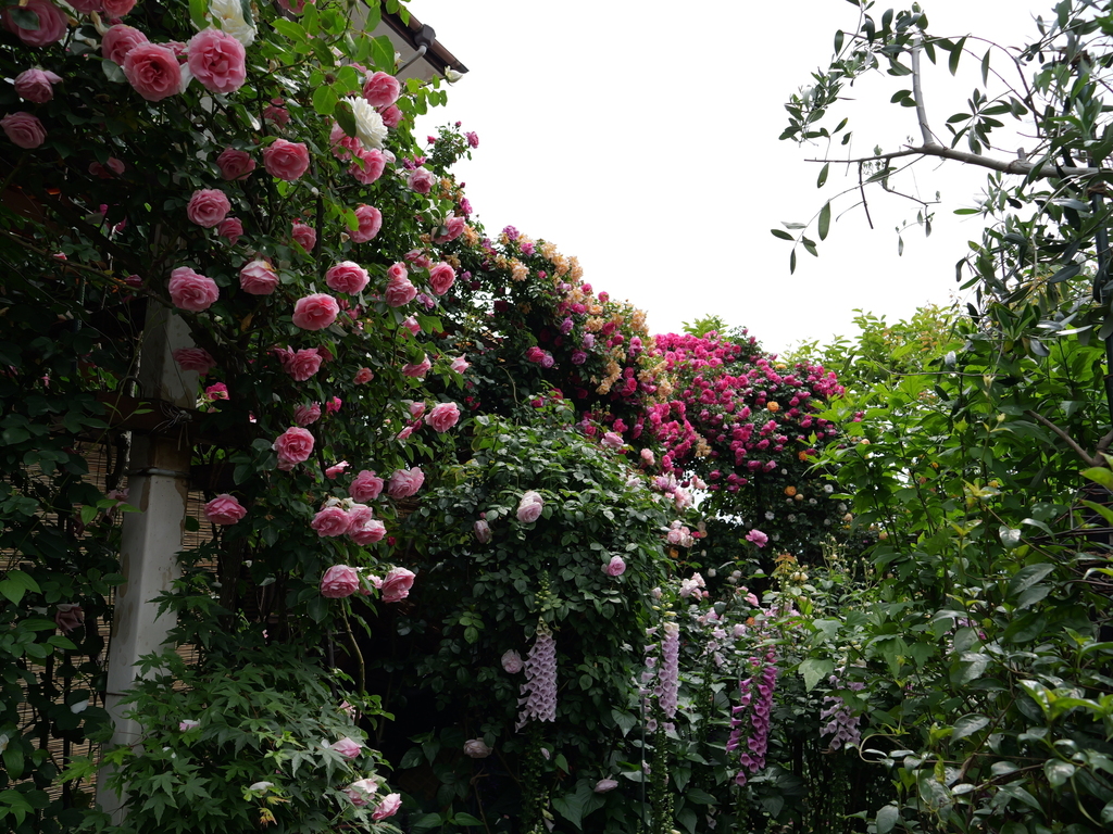 2025-05-14 10_49№(0676).JPG