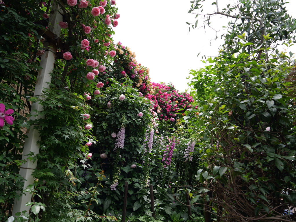 2025-05-14 10_49№(0677).JPG