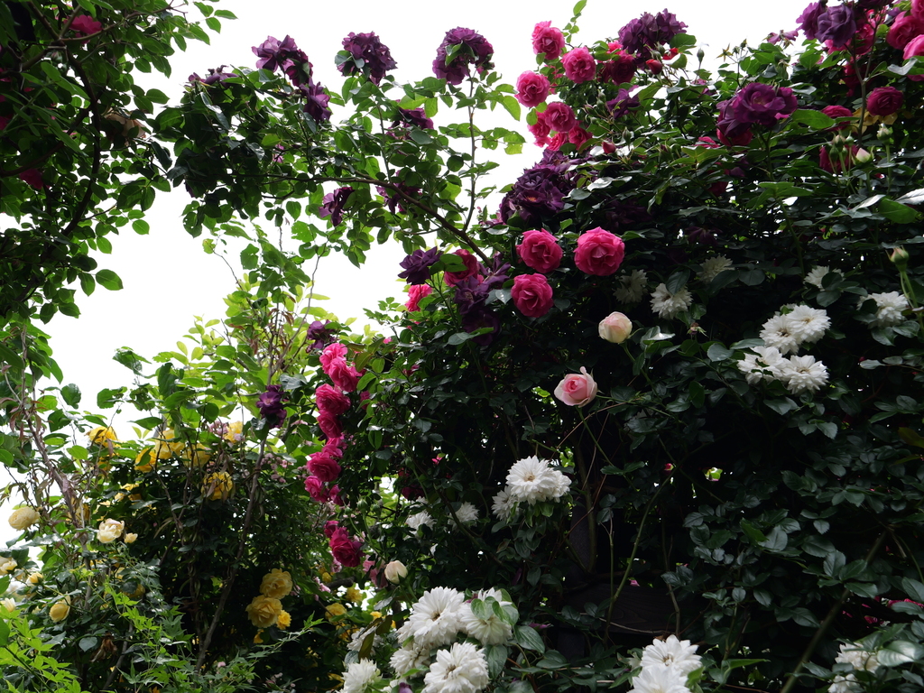 2025-05-14 10_52№(0758).JPG