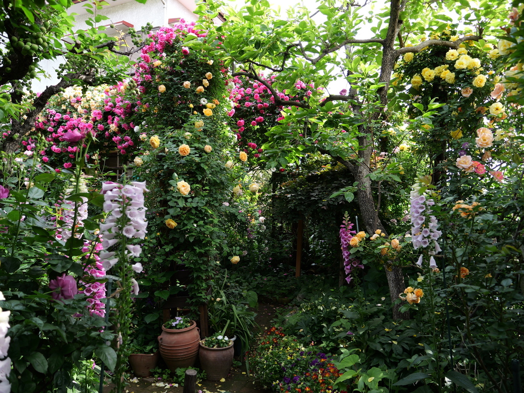 2025-05-15 08_06№(0003).JPG