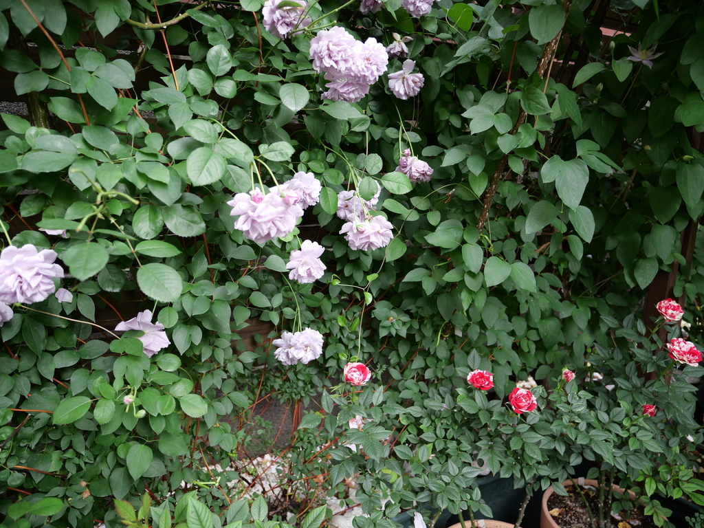 2025-05-16 08_22№(0047).JPG