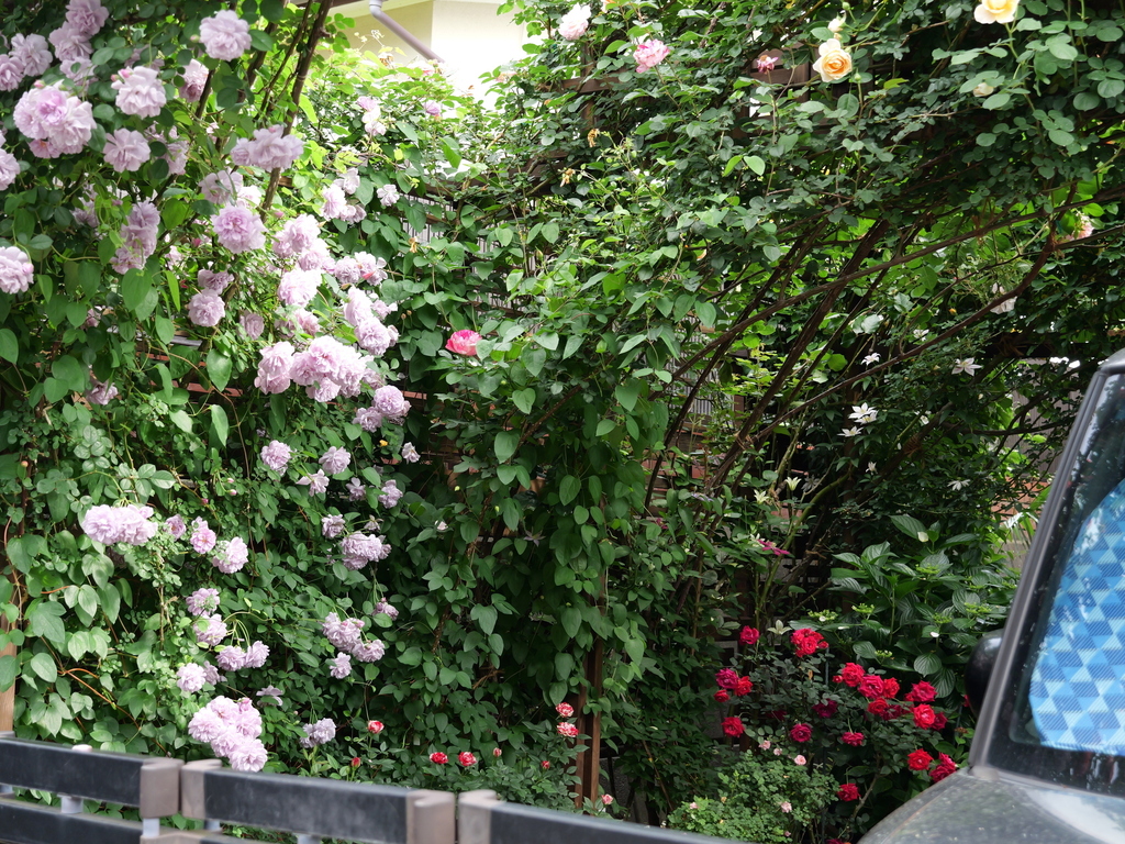 2025-05-16 08_58№(0269).JPG