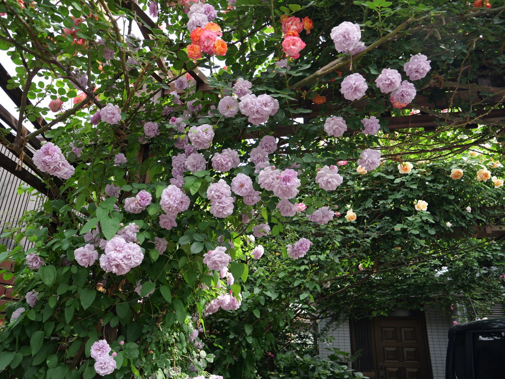 2025-05-16 08_59№(0297).JPG