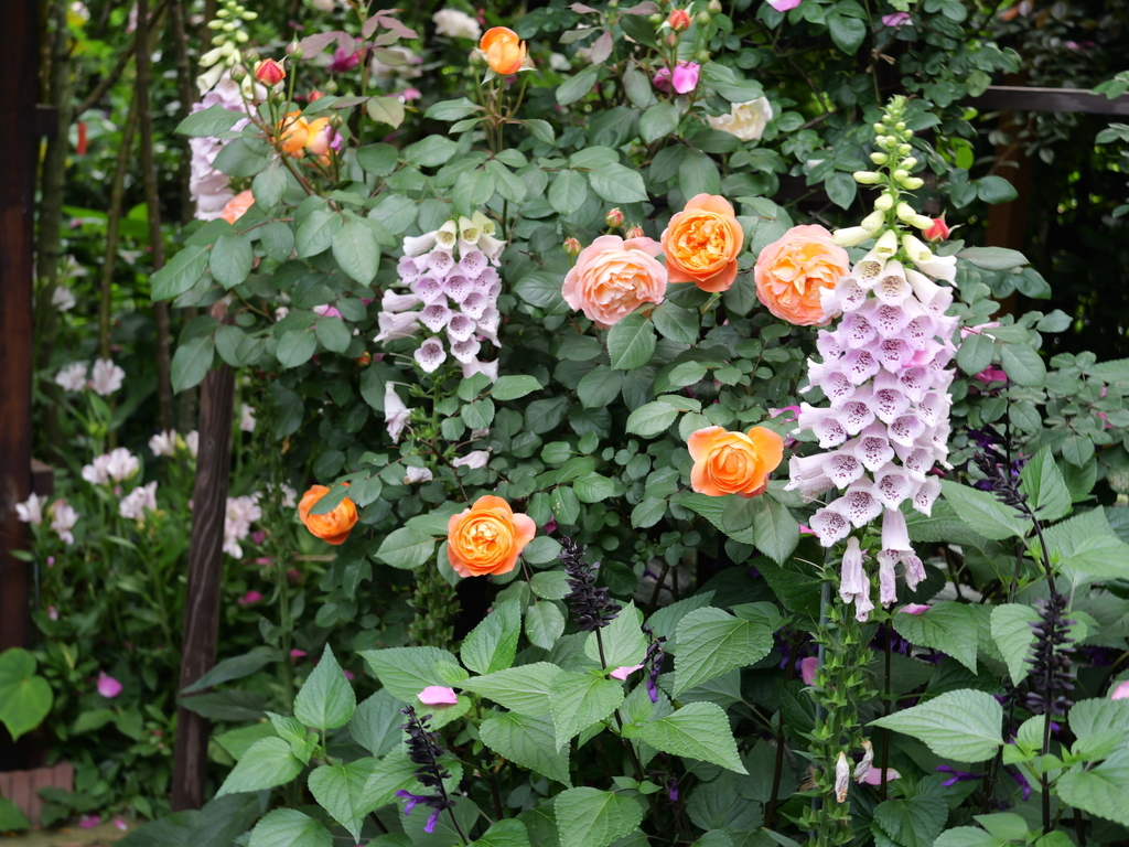 2025-05-16 09_02№(0436).JPG