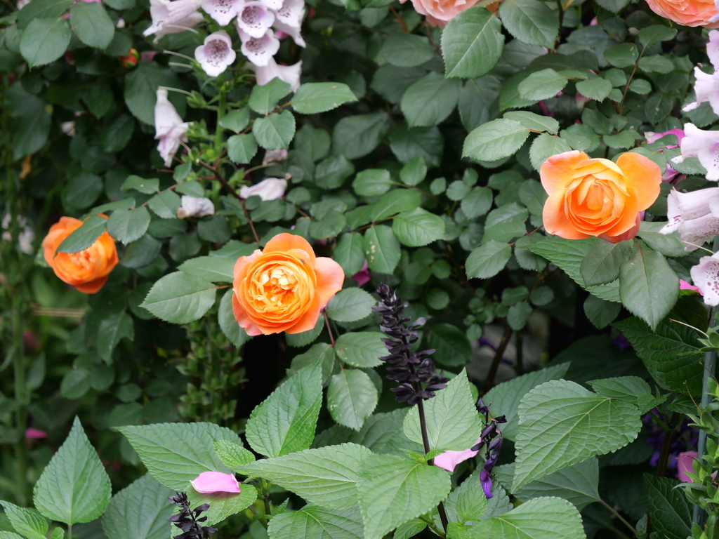 2025-05-16 09_02№(0439).JPG
