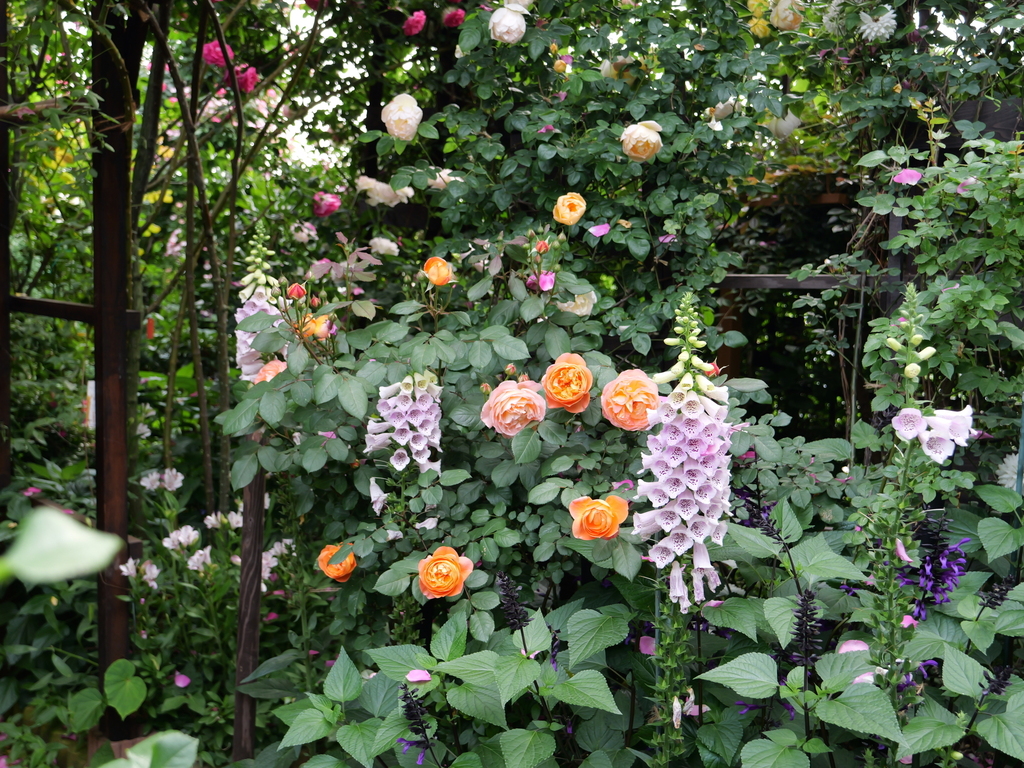 2025-05-16 09_02№(0441).JPG