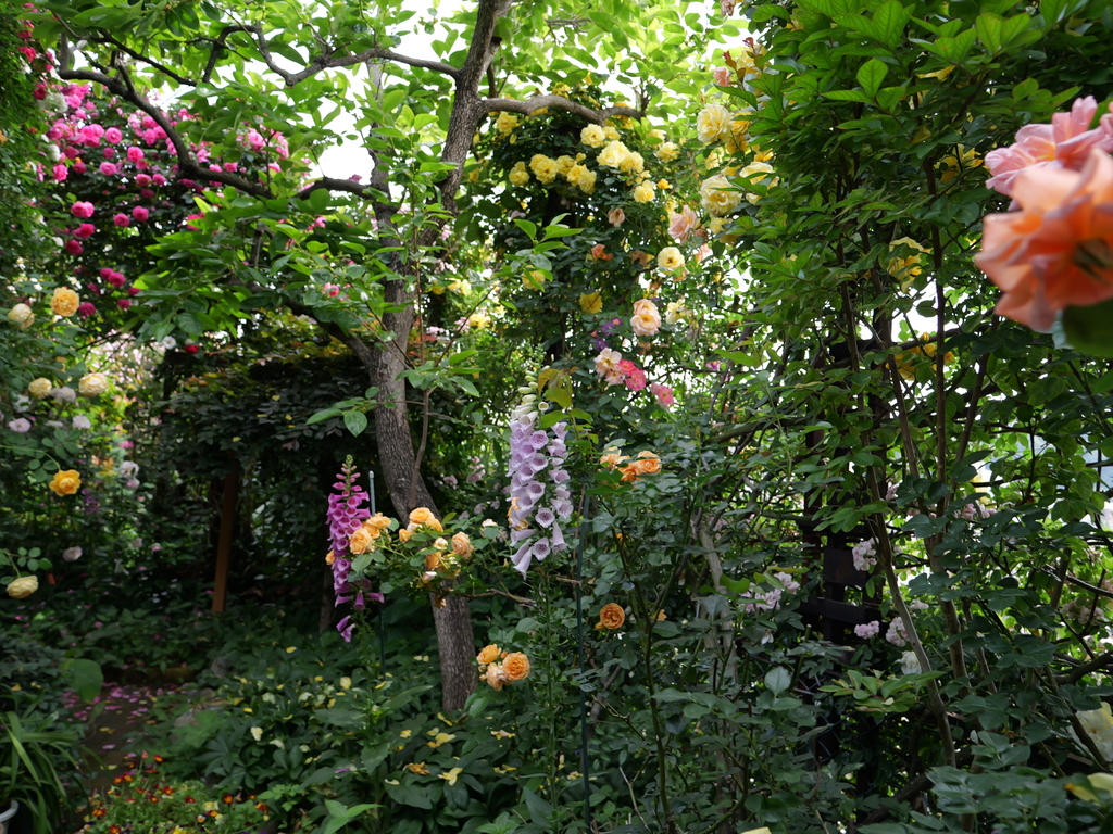 2025-05-16 09_04№(0521).JPG