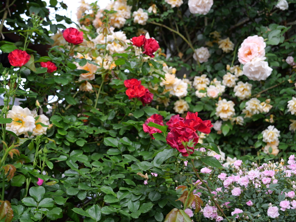 2025-05-16 09_05№(0557).JPG