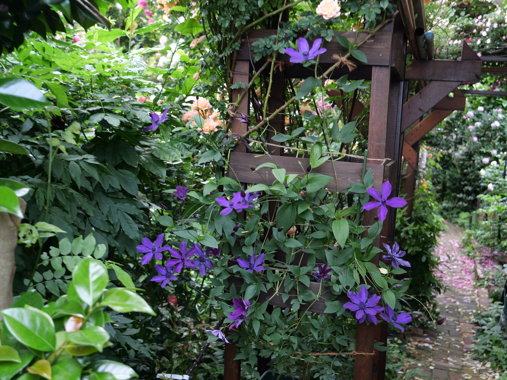 2025-05-16 09_06№(0603).JPG
