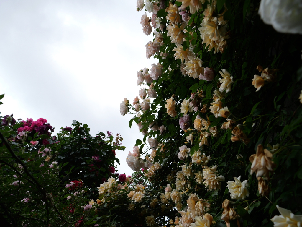 2025-05-16 09_06№(0607).JPG
