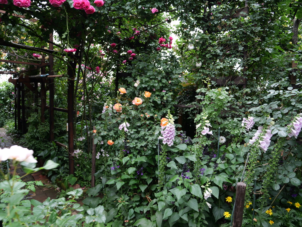 2025-05-18 16_49№(0443).JPG