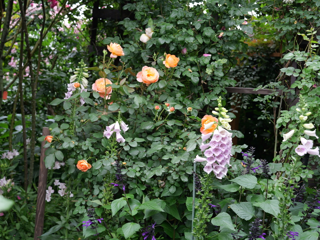 2025-05-18 16_49№(0444).JPG
