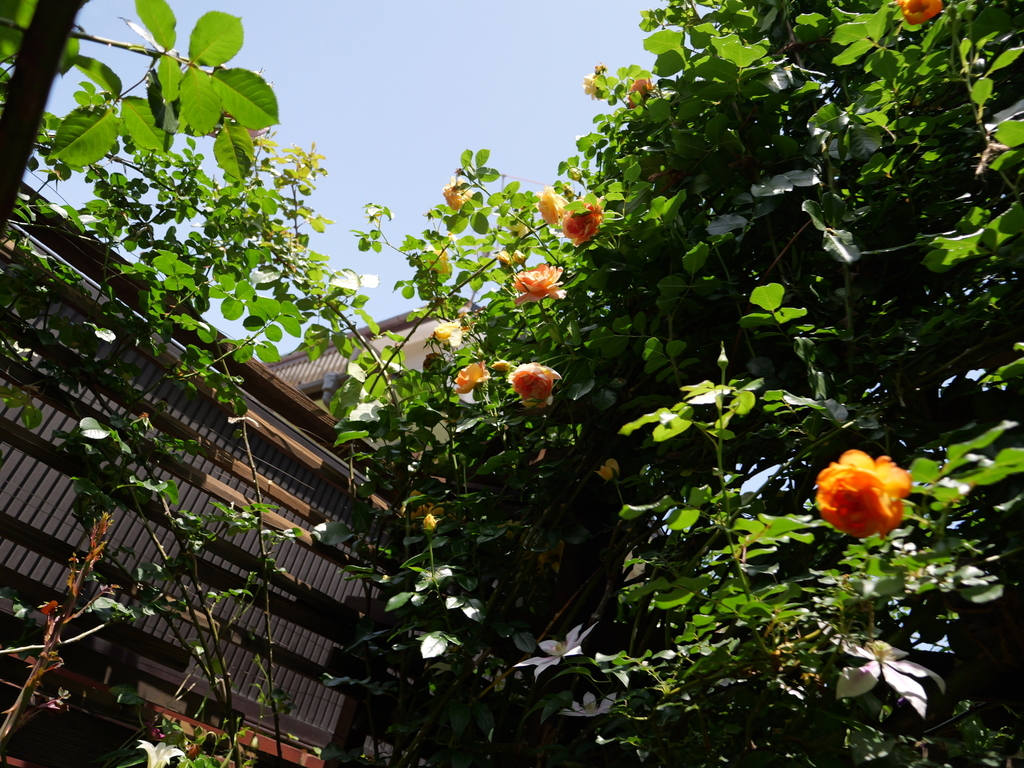 2025-05-20 12_03№(0294).JPG