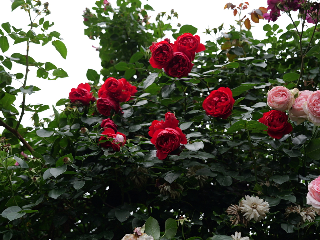 2025-05-24 08_03№(0413).JPG