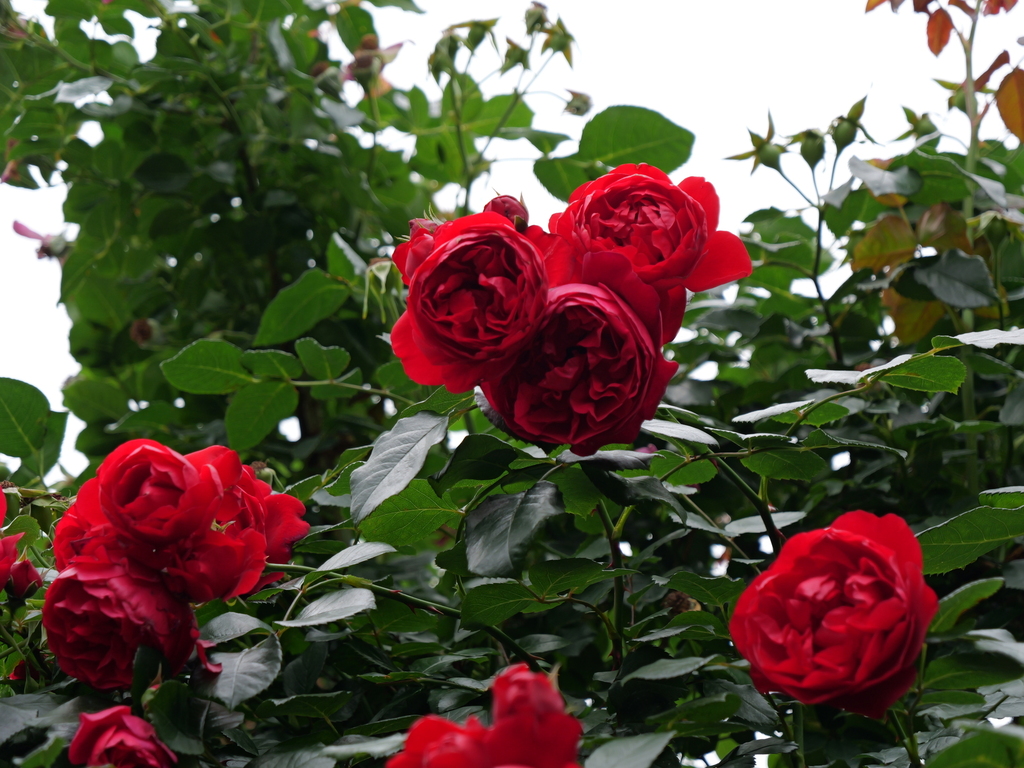 2025-05-24 08_03№(0414).JPG