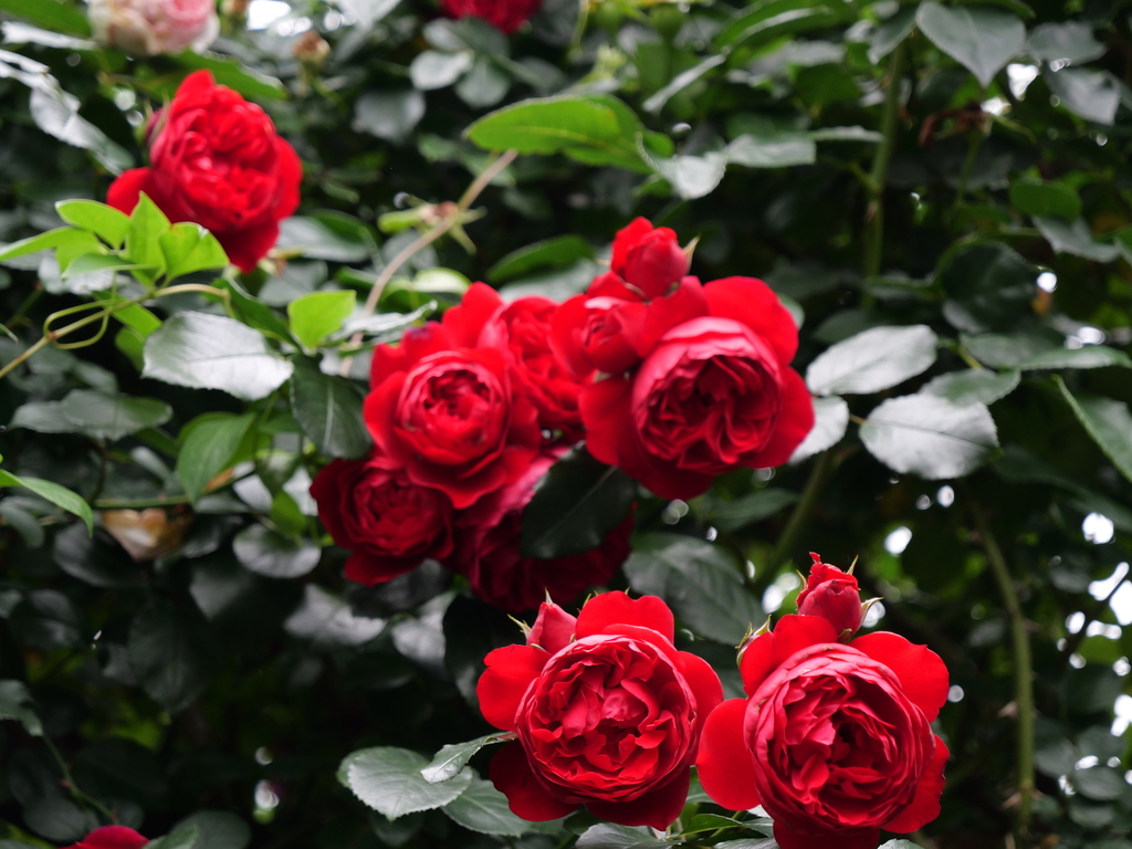 2025-05-24 08_03№(0419).JPG